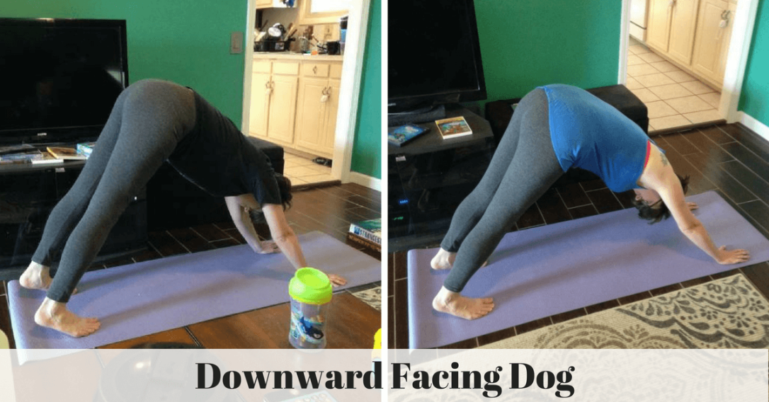 Downward Facing Dog - 3 Week Yoga Challenge
